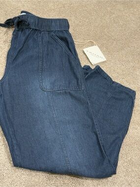 Tahari Premium Denim Marine Blue Jogger Pants